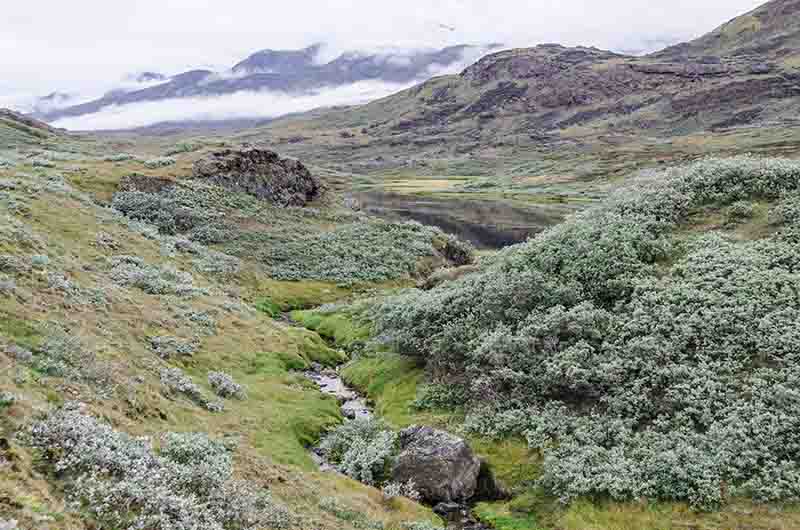 150 - Groenlandia - paisaje
